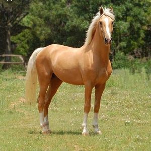 Meet your Posher, Katherine